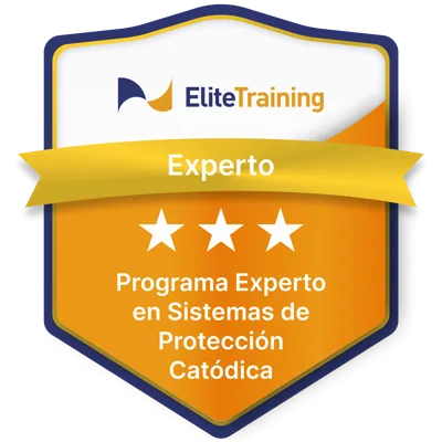 Insignia Elite Training