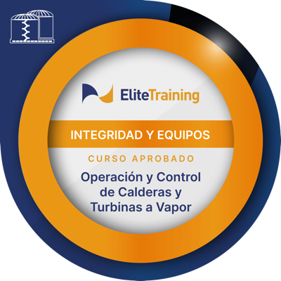 Insignia Integridad 2