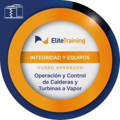 Insignia Integridad 2