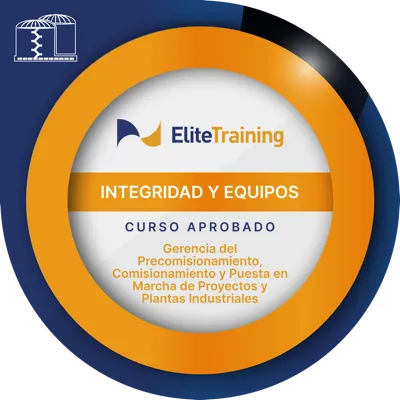 Insignia Integridad 3