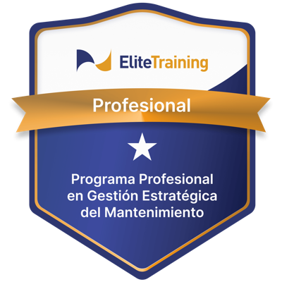 Insignia Mantenimiento 1