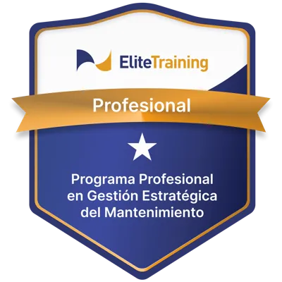 Insignia Mantenimiento 1