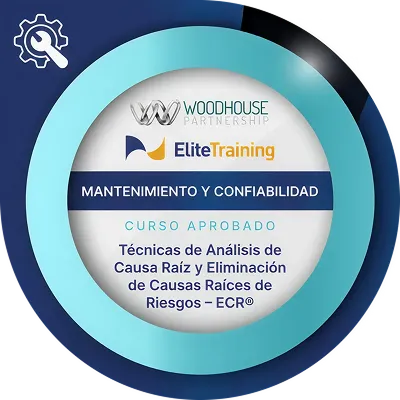 Insignia Mantenimiento 3