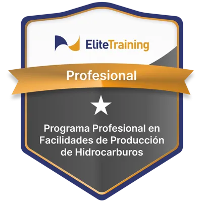 Insignia Oil & Gas 1