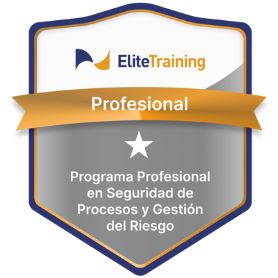 Insignia Seguridad 1