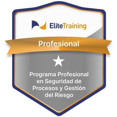 Insignia Seguridad 1