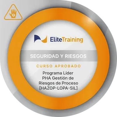 Insignia Seguridad 2