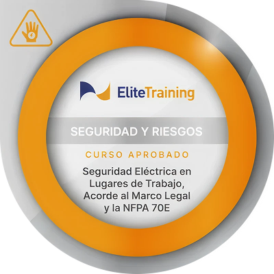 Insignia Seguridad 3