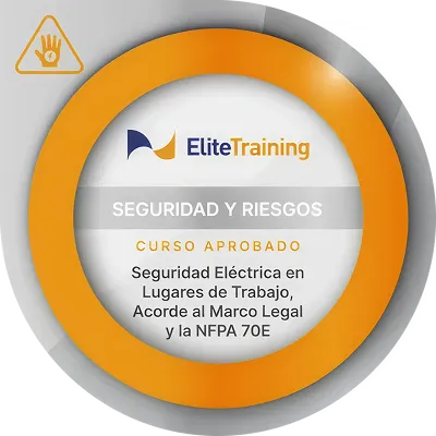 Insignia Seguridad 3